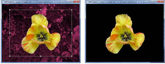 GrabCut NPP Graphcut primitive